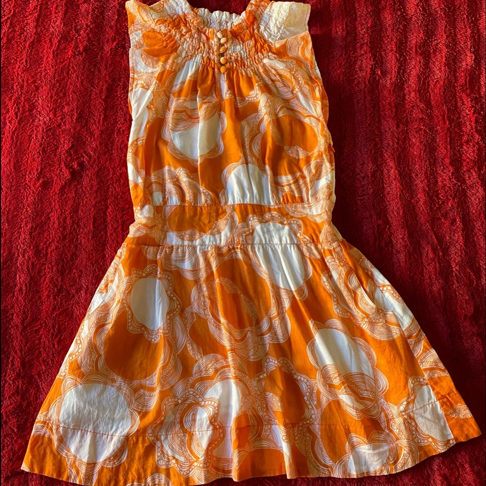 TULLE Calico Ruffle Sleeve Dress